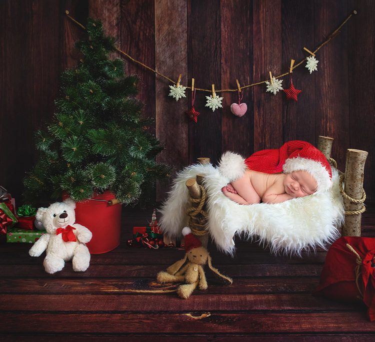 Christmas Newborn Digital Backdrops