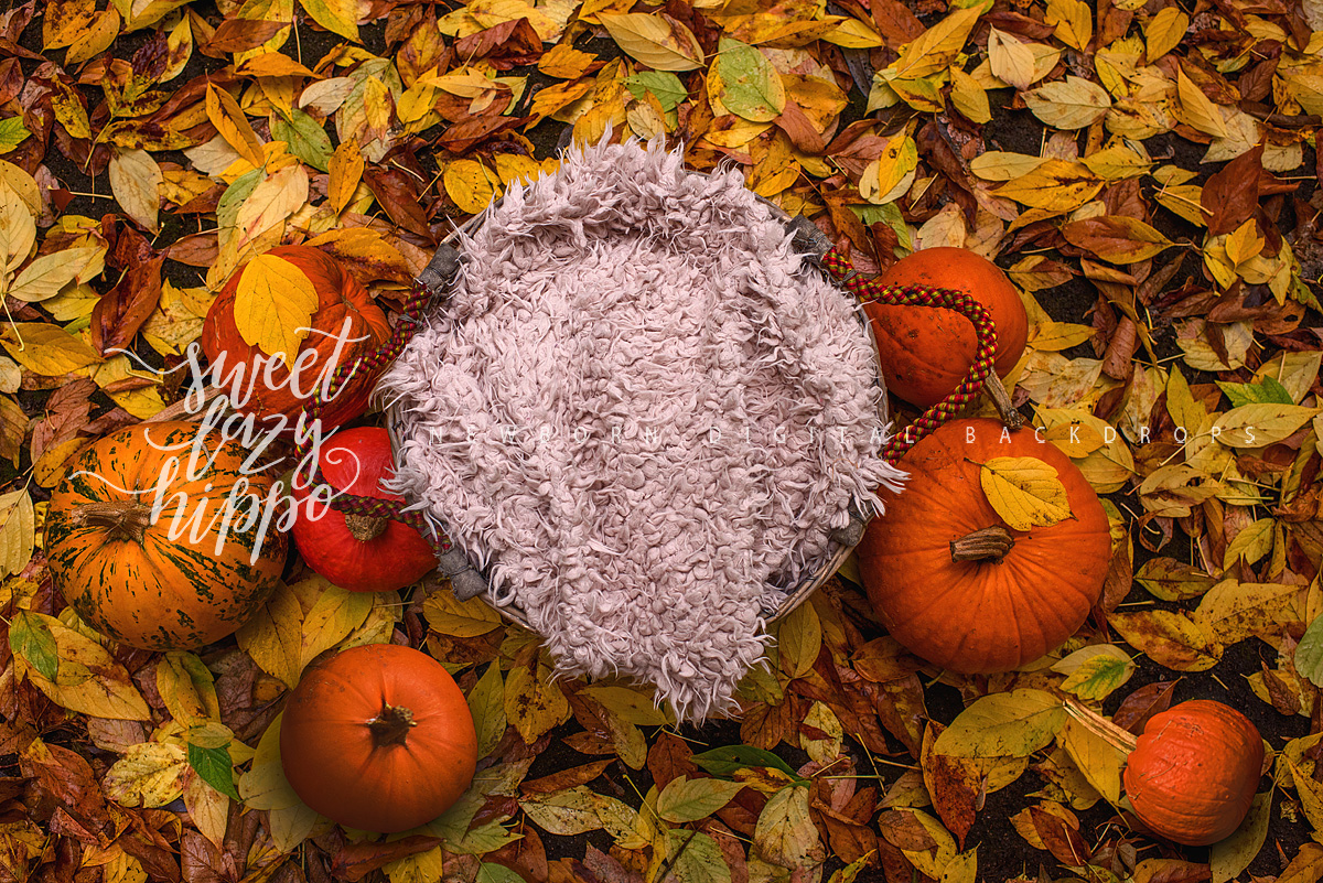 Aosto Photography Backdrop Newborns Baby Child Photo Booth Background Autumn Natural Forest Studio Halloween Backdrops XT-3863